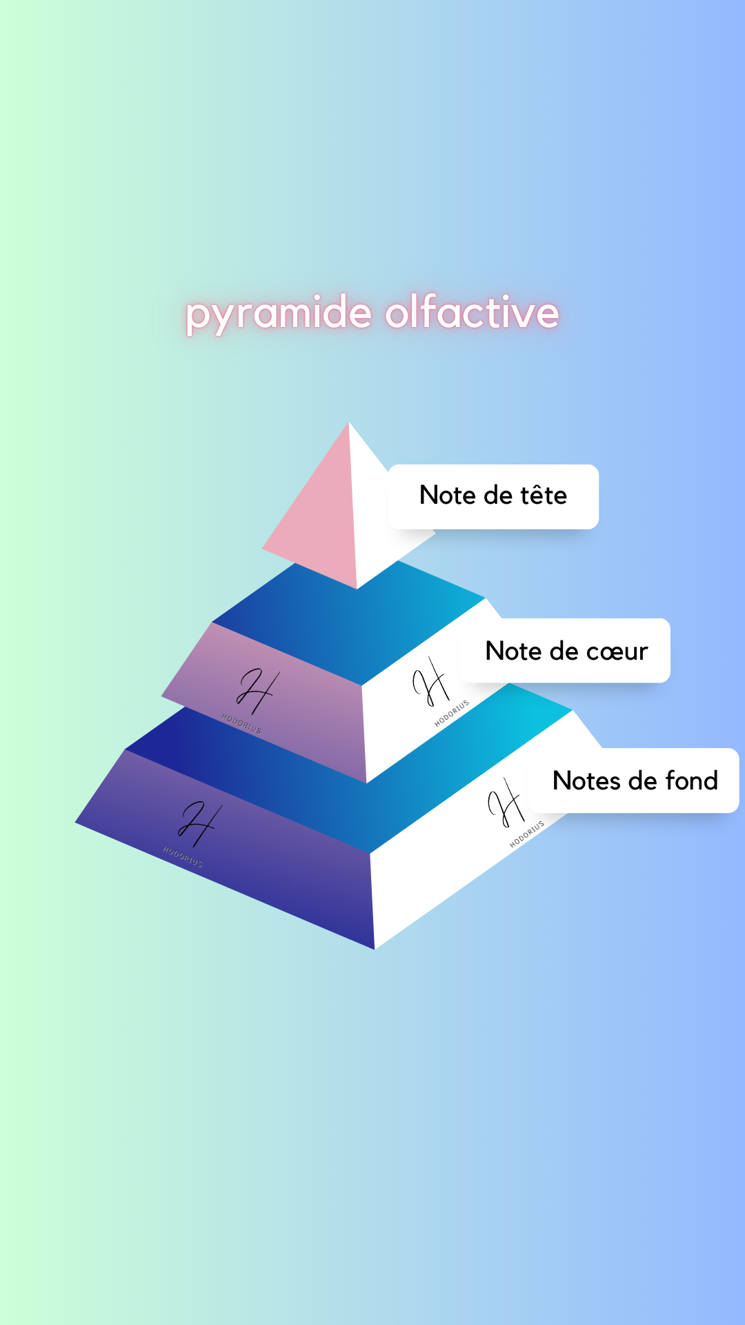 La pyramide olfactive ?